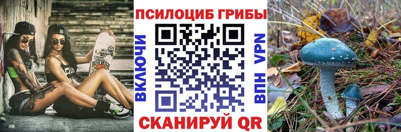 Галлюциногенные грибы Cubensis Купить где Полярный